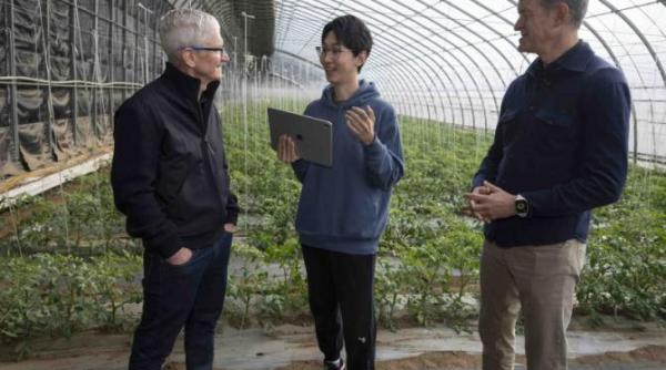 tim cook si a dezvaluit primul loc de munca ceo ul apple spune ca lucreaza inca de la varsta de 11 ani