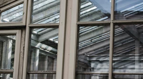 de ce apare mucegaiul in jurul ferestrelor si cum sa scapi de el