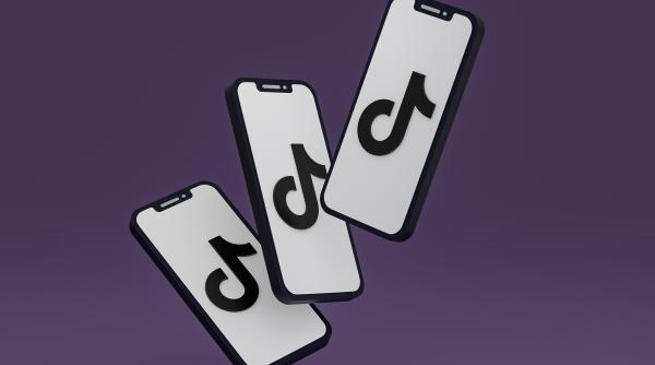 hotul neprins negustor cinstit influencerii de pe tiktok nu intra in competenta aep limitele in care poate fi laudat sau criticat un candidat