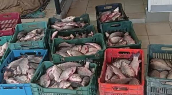 pescuit ilegal in delta dunarii s au gasit nu mai putin de 900 de kilograme de peste video