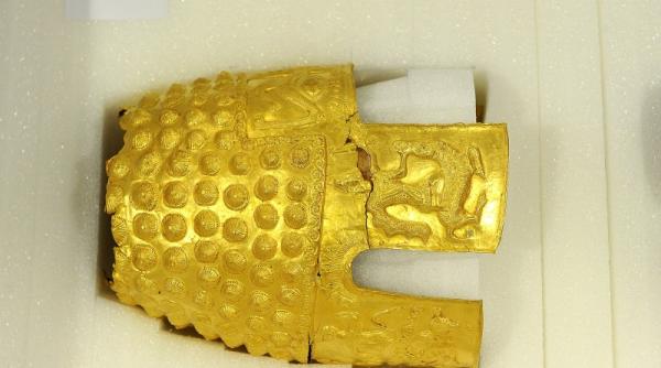 procurorul general al romaniei s a intalnit cu omologul olandez pe tema furtului obiectelor de patrimoniu din tezaurul dacic