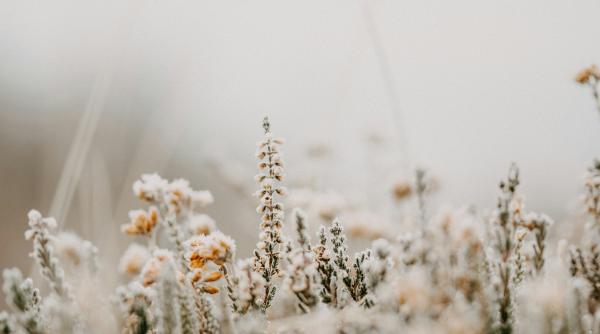 ce va insemna racirea brusca a vremii din perioada urmatoare elena mateescu anm fiecare an aduce noi provocari video