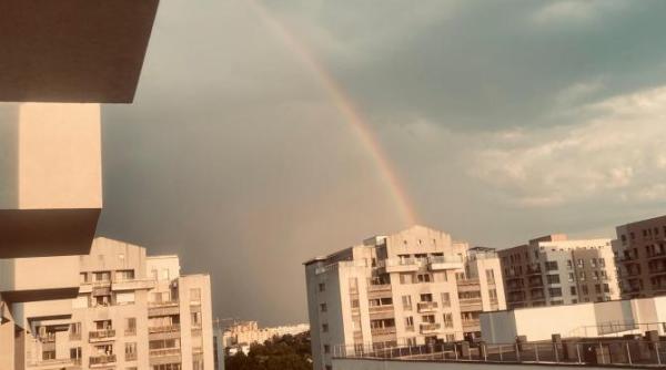 cum au evoluat preturile chiriilor in bucuresti si restul tarii la inceputul anului 2025 cu cat se da o garsoniera in functie de sector