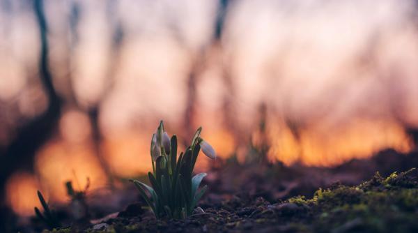 am trait cea mai calda luna ianuarie cum influenteaza vremea fenomenul la nina