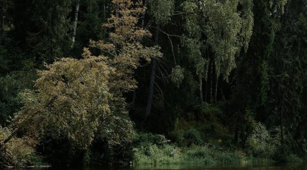 arinul si frasinul victorie la iccj in fata hidrocentralei rastolita care trebuia sa fie gata in 2025 dupa 34 de ani ministrul burduja se contrazice cu avocata agent green