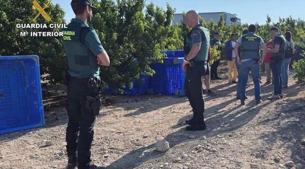 zeci de romani tinuti sclavi au fost eliberati in spania au fost pacaliti cu anunturi online de angajare cand au ajuns acolo li s au confiscat documentele