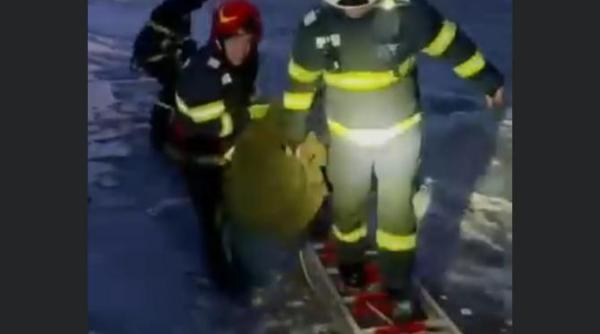 sfarsit tragic dupa ce pompierii militari au salvat un cerb din apele inghetate video