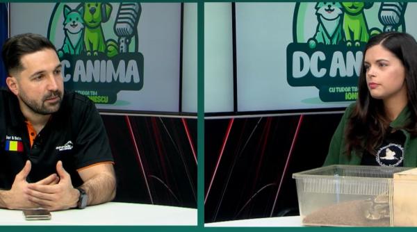 serpii din romania prieteni sau pericol dr veterinar oana vasiliu