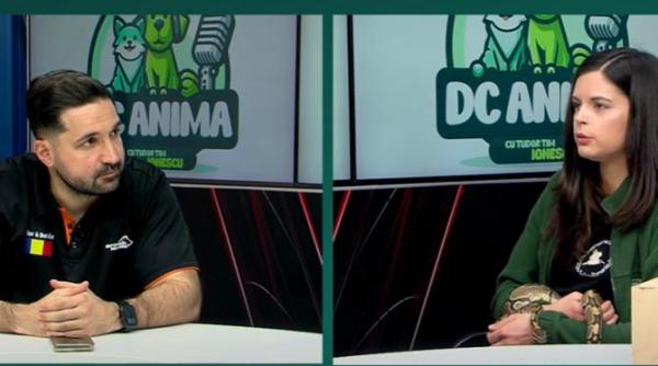 cum sa ne comportam corect cu serpii si ce amenzi risca cei care le fac rau dr veterinar oana vasiliu nu ai voie sa i faci nimic