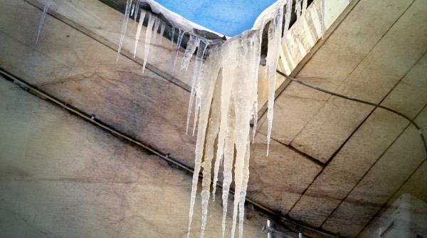 igsu mesaj pentru romani in perioada asta ai voie sa mergi cu nasul pe sus dar nu din aroganta