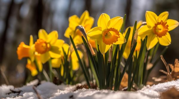 previziuni astrale prima jumatate a lunii martie 2025 ce le asteapta pe cele douasprezece zodii