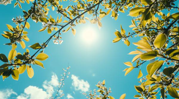 sunt ultimele zile de ger urmeaza vreme calda de primavara cu temperaturi ridicate prognoza pe o luna