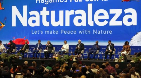 acord istoric la cop16 200 de miliarde de dolari anual pentru salvarea naturii