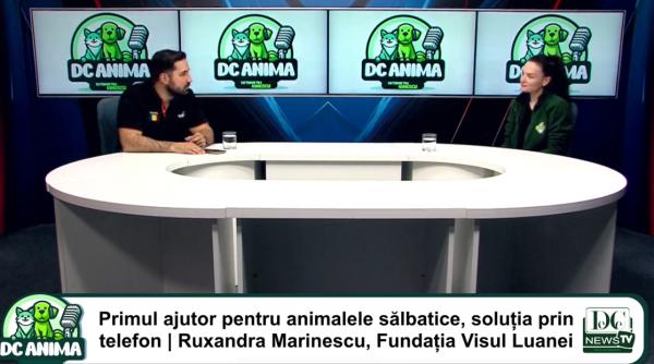 ruxandra marinescu invitata lui tudor tim ionescu la dc anima video