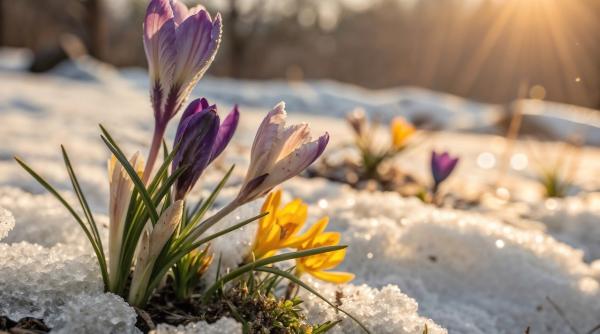 se incalzeste vremea elena mateescu anm temperaturile vor creste treptat ajungand la peste 20 de grade