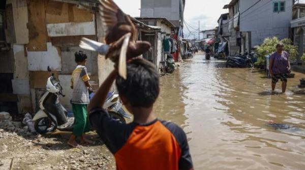 inundatii devastatoare in jakarta mii de oameni au fost evacuati dupa ploaia torentiala