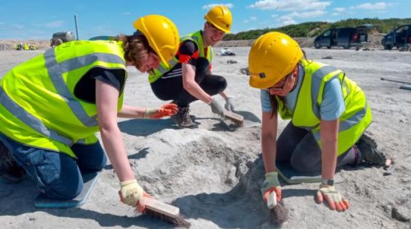 noi descoperiri arheologice uimitoare unelte facute din oase de elefant si de hipopotam vechi de 1 5 milioane de ani