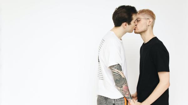 asociatia mozaiq lgbt condamna propunerea de modificare a constitutiei ungariei urmeaza si romania