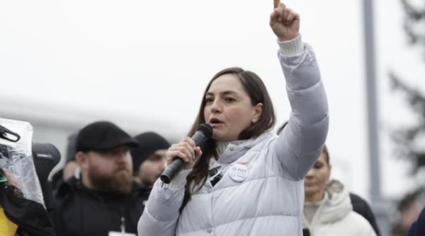 cu se ocupa anamaria gavrila inainte de a intra in politica si cum a adoptat modelul georgescu pentru a se face remarcata