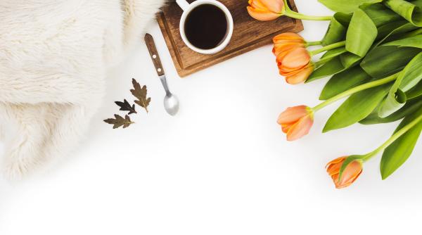 horoscop de weekend pentru berbec taur gemeni rac leu si fecioara