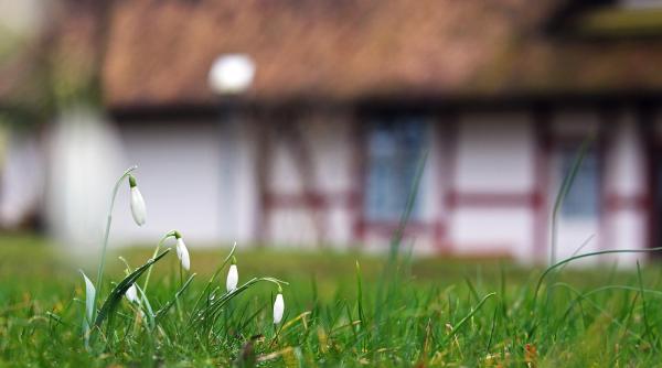 maxime de 30 de grade in weekend apoi temperaturile scad brusc si revin ninsorile elena mateescu minimele vor fi negative