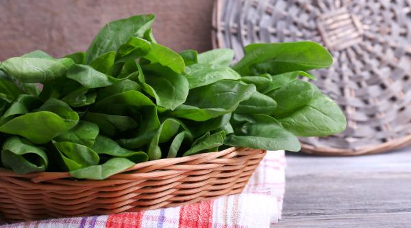 obisnuiai sa mananci macris in copilarie afla de ce ar trebui sa l reintroduci in dieta