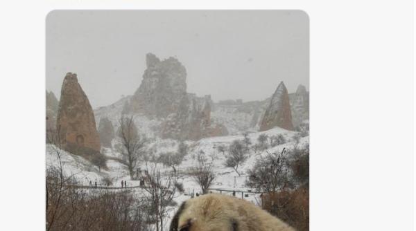 ninge in turcia sute de persoane sunt blocate pe autostrazi din cauza viscolului vreme rea inclusiv in istanbul