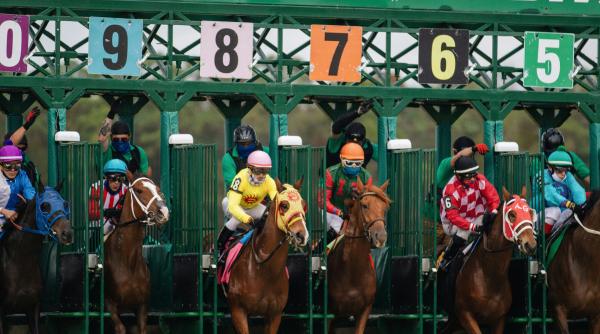 bha introduce testarea pentru dopaj genetic ce riscuri ascunse ameninta sportul