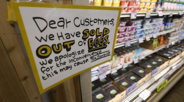 penurie de oua in sua guvernul american a pornit o adevarata vanatoare in tarile europene