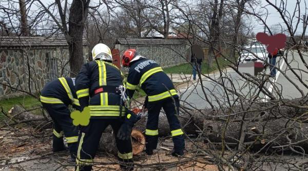 vantul a provocat daune semnificative in romania 88 de copaci 9 stalpi de electricitate prabusiti trei drumuri nationale afectate