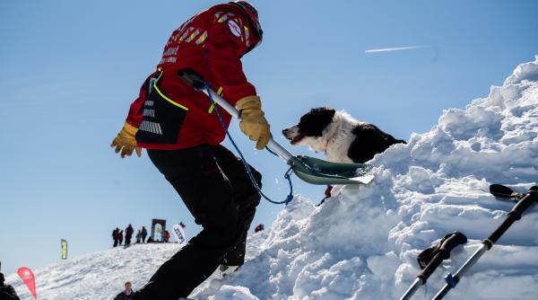 un tanar ucrainean a fost abandonat in stare grava la o stana parasita din muntii maramuresului