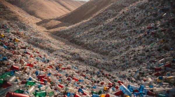 motivele pentru care operatorii economici reciclatori fraudeaza adesea statul geanin serban oirep ambalaje intotdeauna exista aceasta tendinta