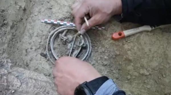 descoperire spectaculoasa in mures tezaur dacic de peste 2 000 de ani aproape intact gasit intr o padure galerie foto