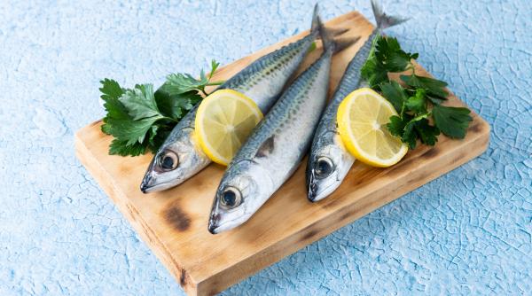 pestele preferat al romanilor ajuns in punct critic din cauza pescuitului excesiv