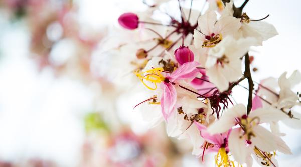 horoscop de weekend pentru balanta scorpion sagetator capricorn varsator si pesti