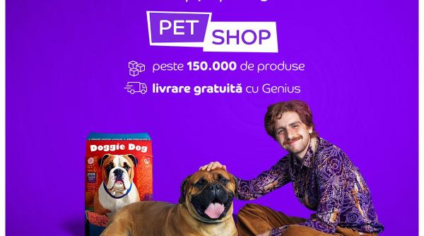 romanii au comandat aproape 1 5 milioane de articole de hrana pentru animalele de companie in primul an de emag petshop