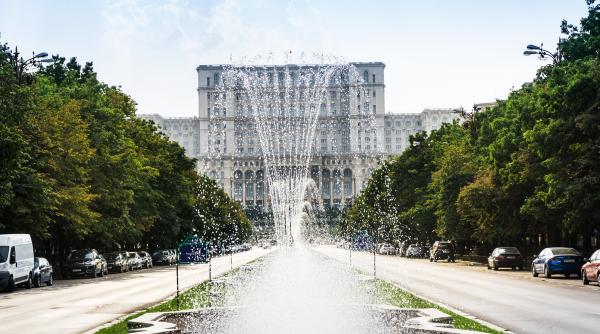 o imagine cum extrem de rar vezi in bucuresti foto in articol