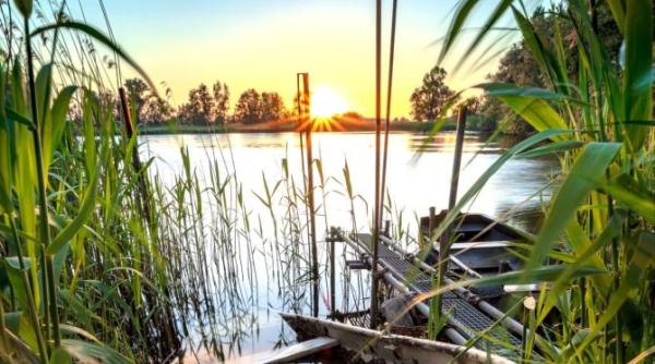 o turista din new york cucerita de delta dunarii cea mai frumoasa experienta