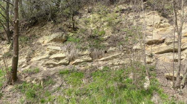 pe urmele unei mari disparute la doua ore de bucuresti povestea fascinanta a unui colt de romanie uitat de timp unde auzi doar sunetul linistii