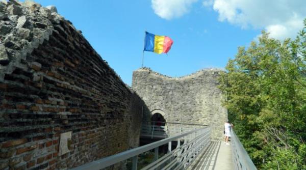 alerta la cetatea poienari abia redeschisa publicului ursul a intrat in zona de acces a turistilor