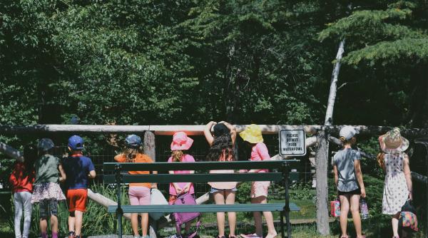 copilul tau se teme sa plece in tabara iata patru trucuri care ii pot transforma frica in entuziasm