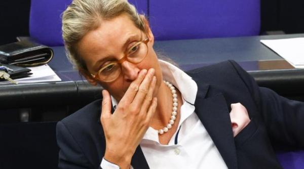 afd desemnat oficial partid extremist de dreapta de serviciul secret al germaniei