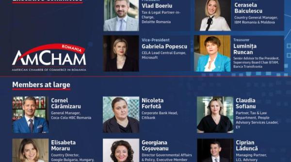 amcham apel la responsabilitate si dialog pentru redresarea economica a romaniei investitiile urmeaza increderea increderea urmeaza reform