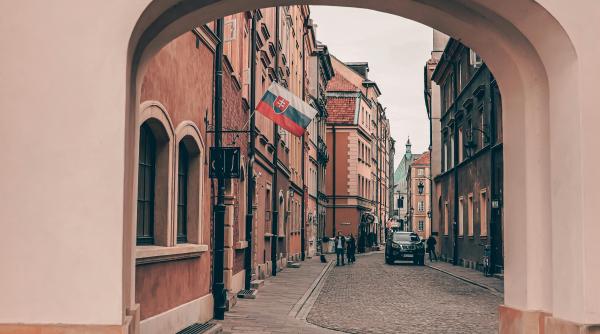 focar de febra aftoasa slovacia inchide mai multe puncte de trecere a frontierei atentionare mae