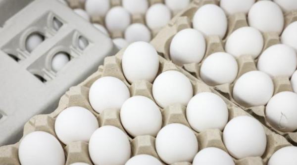 pretul oualor in sua scade usor dar ramane ridicat gripa aviara continua sa faca ravagii peste ocean