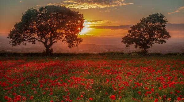 judetul binecuvantat care atrage tot mai multi turisti triunghiul manastirilor si cetati vechi de mii de ani video