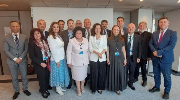 corneliu stefan la bruxelles despre atragerea de fonduri europene pentru dambovita