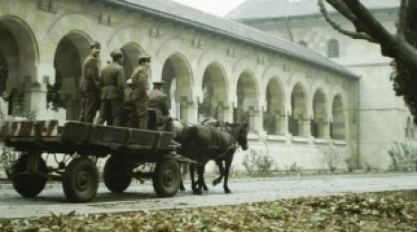 eram africa sahariana a europei cat se castiga in romania inainte de ue caramitru explica de ce e momentul ca strutocamila europeana sa treaca la urmatorul nivel