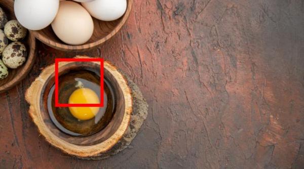 ce este si ce rol are de fapt structura albicioasa care sta lipita de galbenusul oului putini ii cunosc denumirea