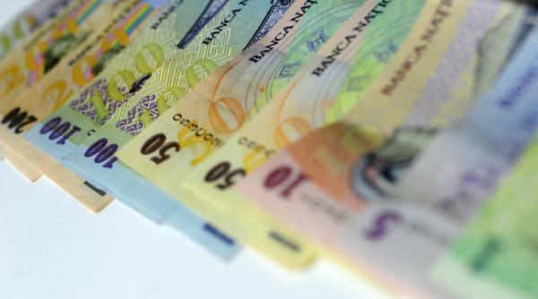 afm fonduri de peste 2 5 milioane lei aprobate pentru protectia faunei salbatice